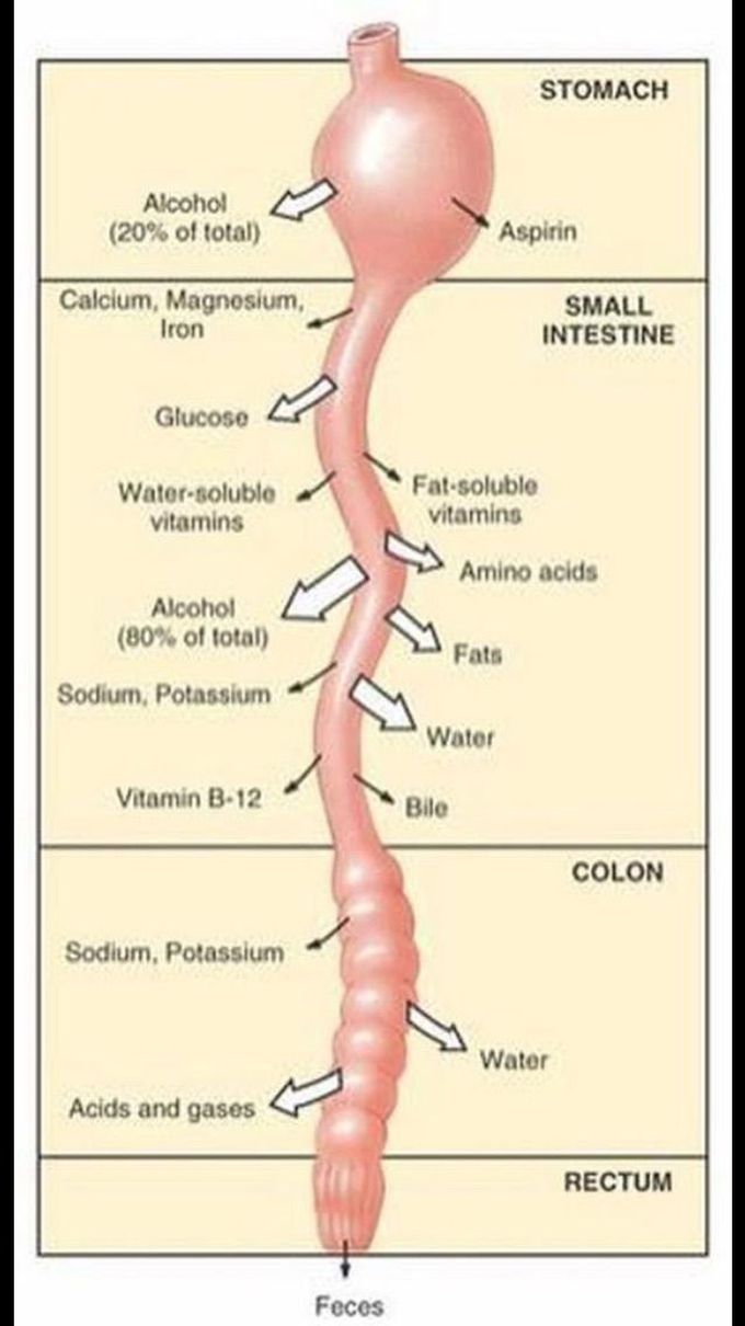 Information