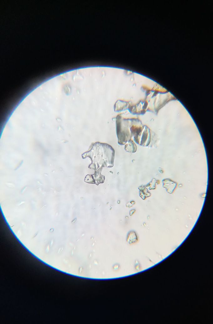 Crystalls of glutamic acid