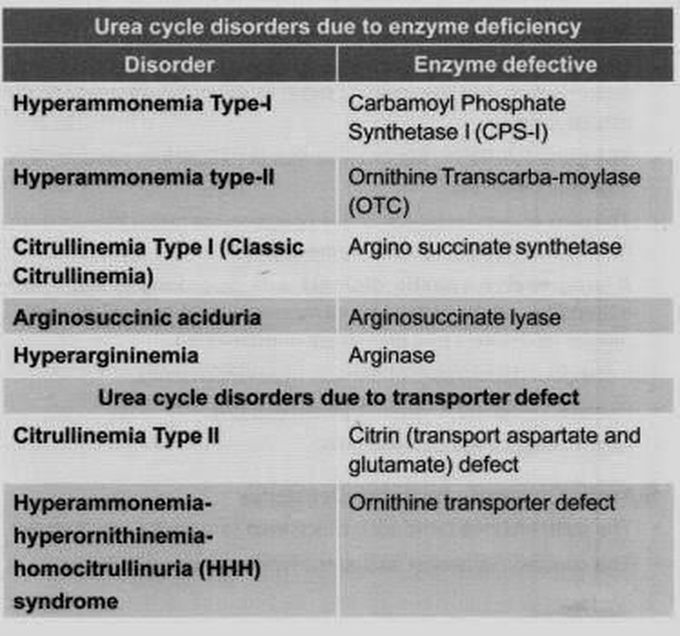 Disorder of Urea Cycle