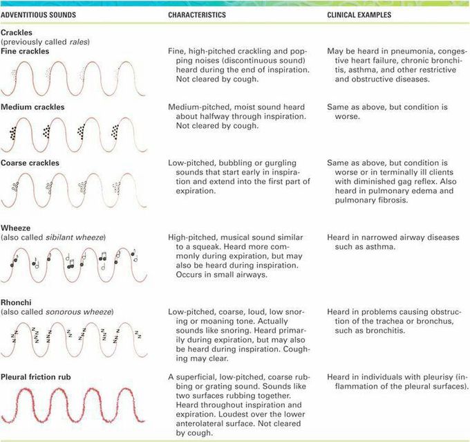 Lungs Sounds