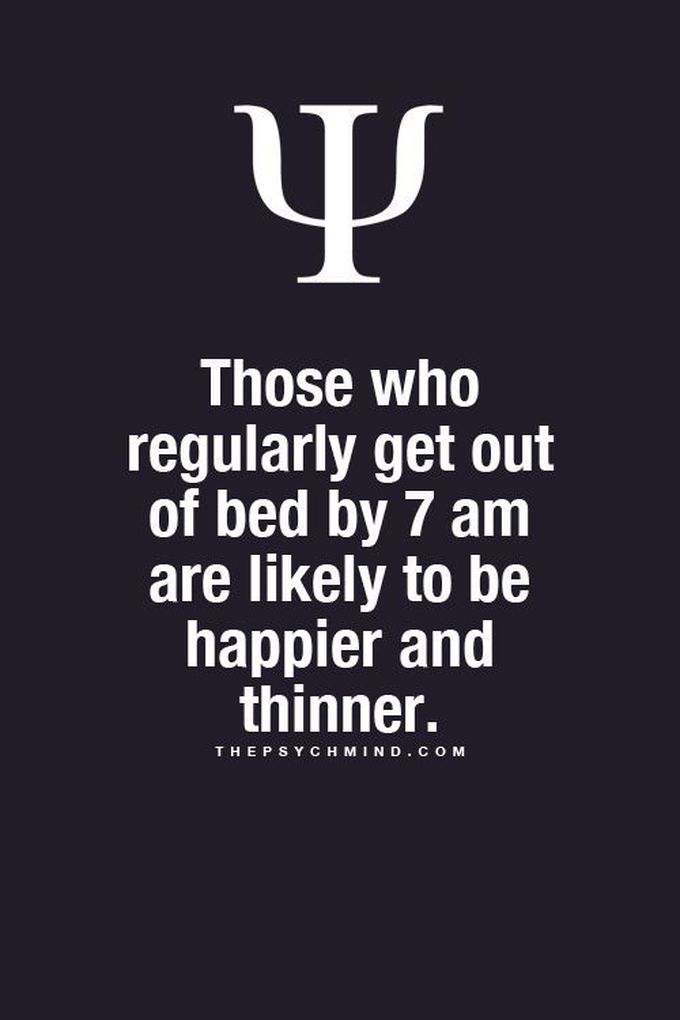 Fact
