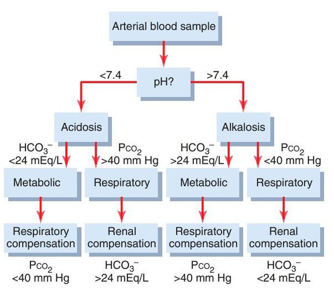 Analysis of ABGs