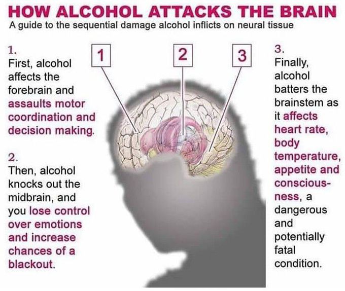 Alcohol enters into the brain