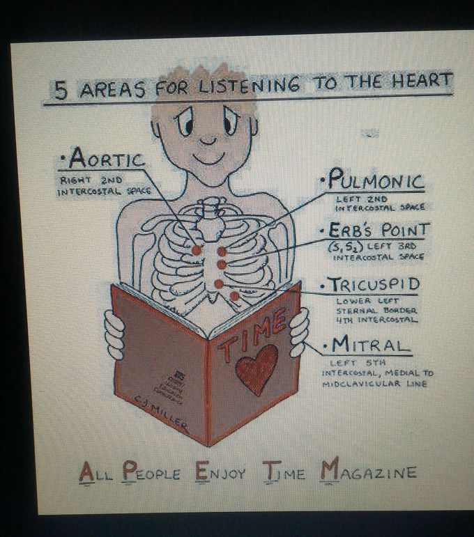 Auscultation of heart