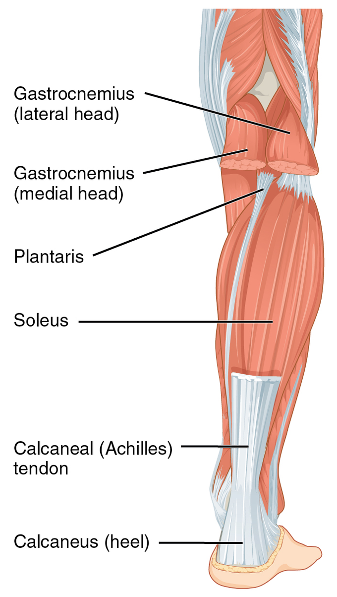 Conditions associated with achilles tendon