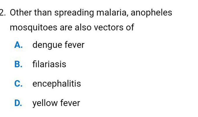Quiz