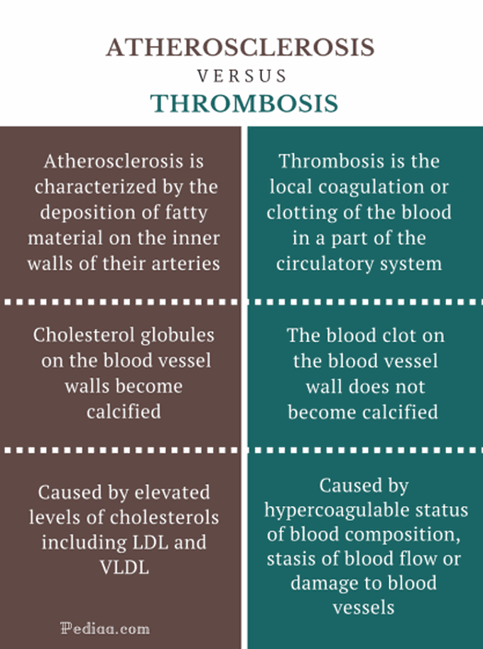 Atherosclerosis Vs Thrombosis