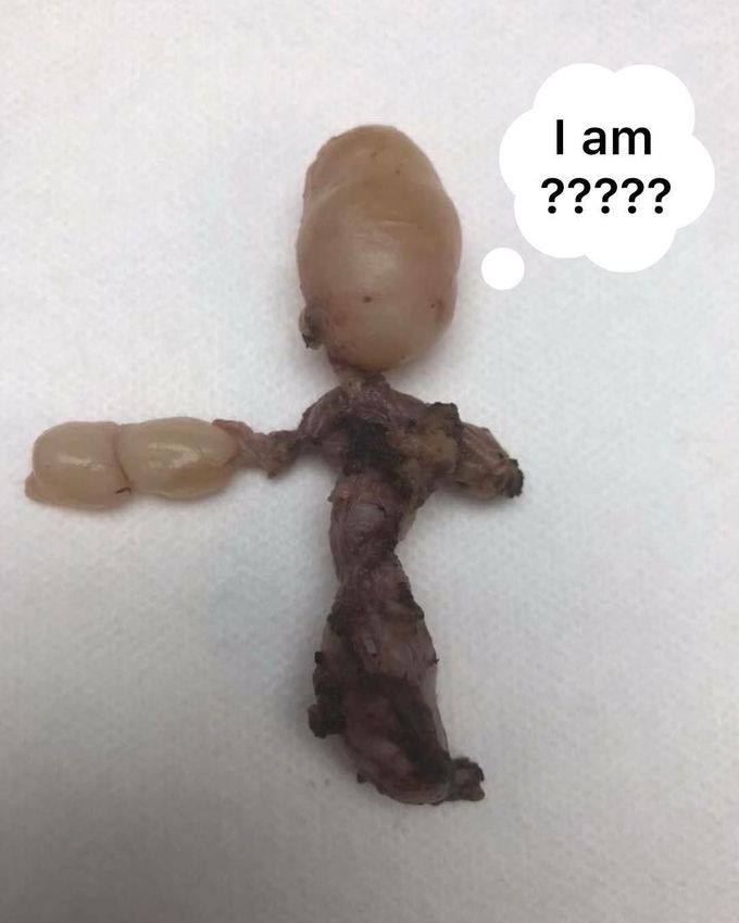 What does this specimen remind you of???