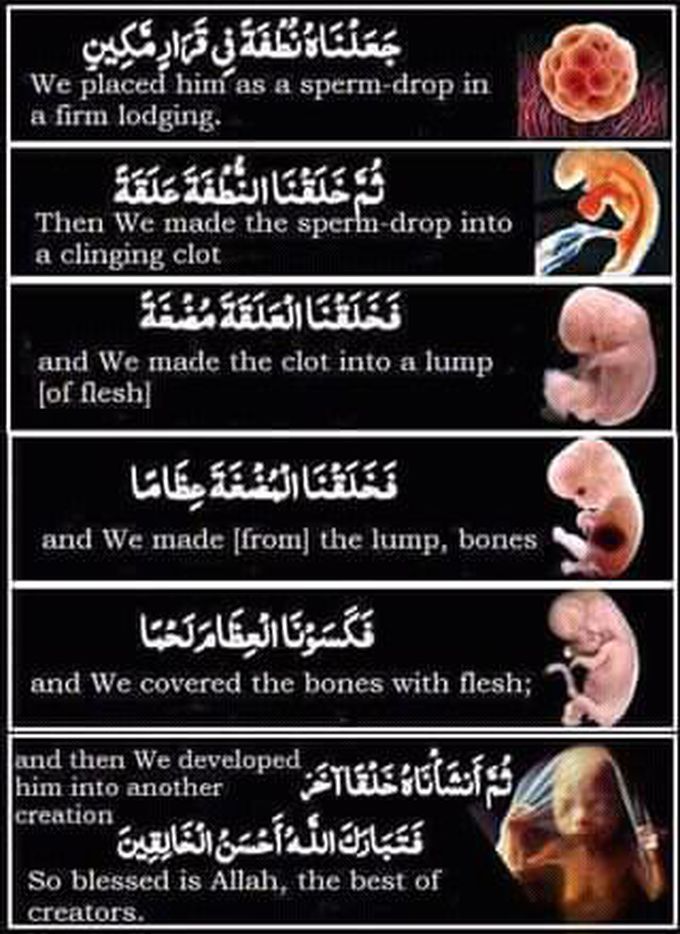 Science in islam