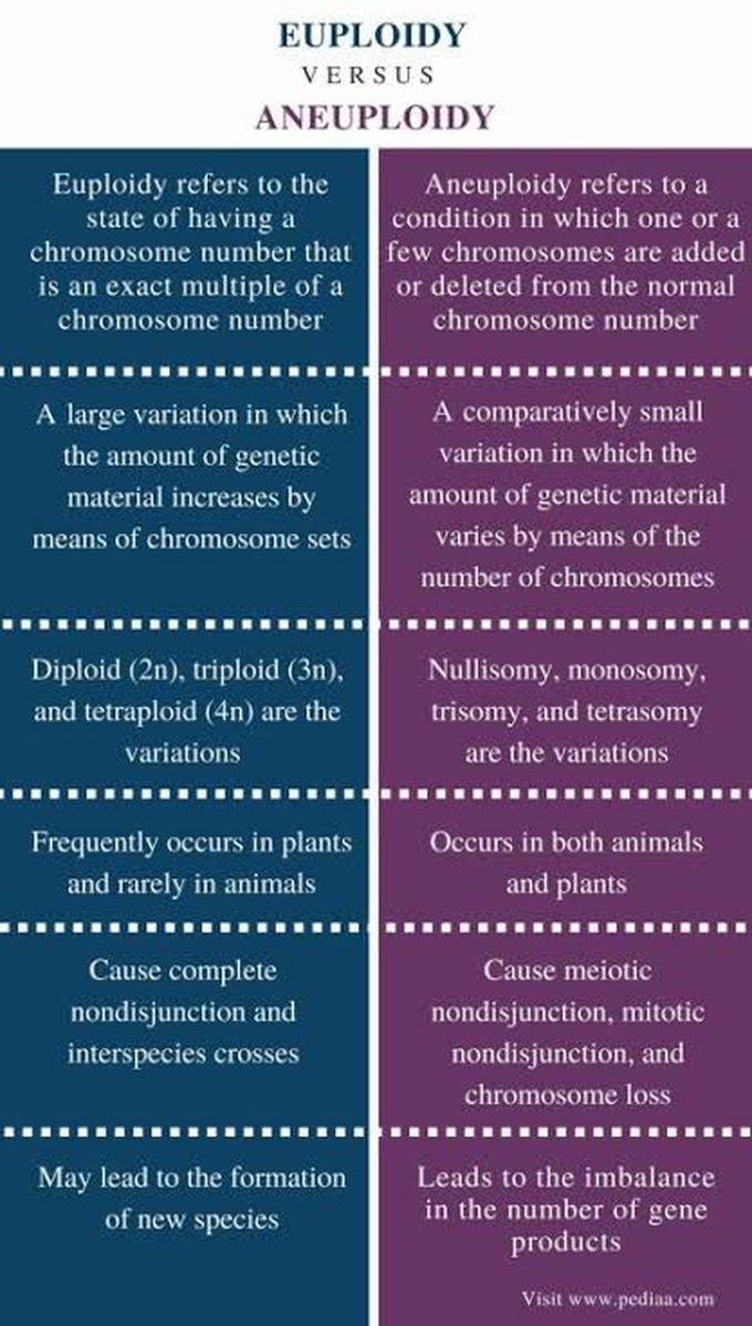 Euploidy and Aneuploidy