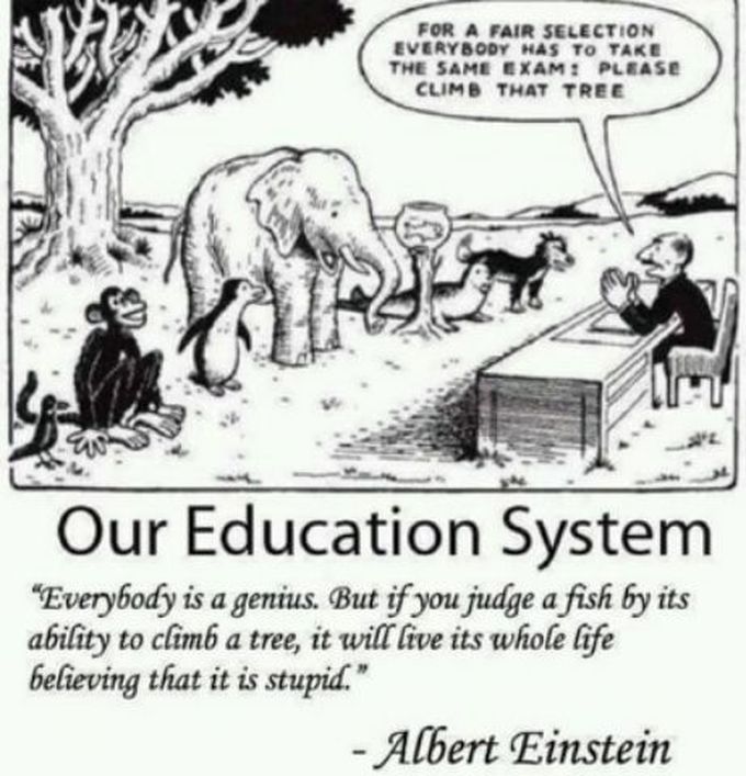 Our education system