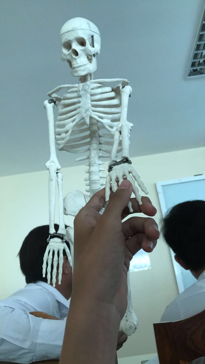 Hold my hand and study anatomy