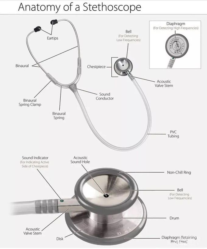 Parts of Stethoscope - MEDizzy