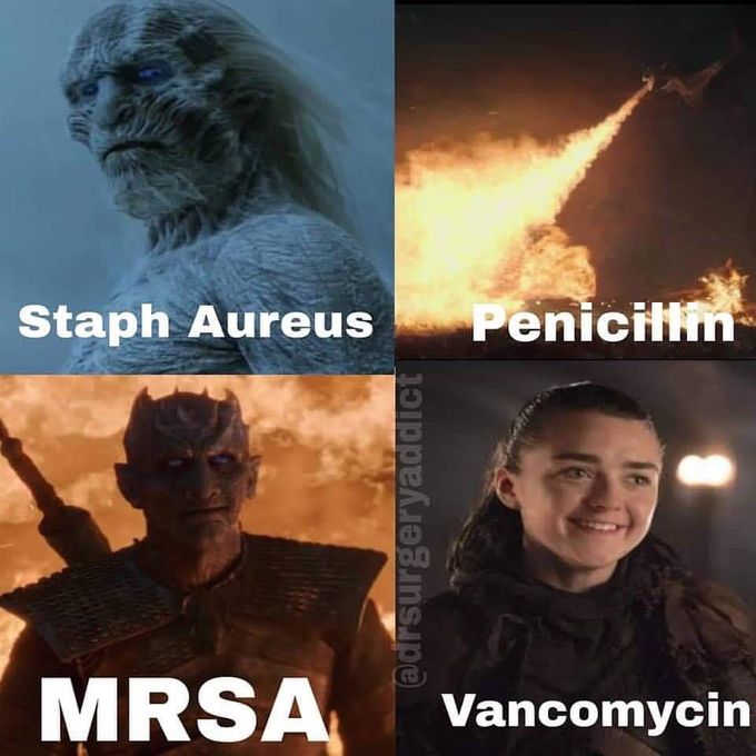 Study memes