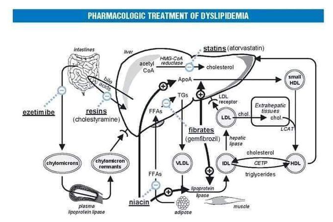 Pharmacology made easy