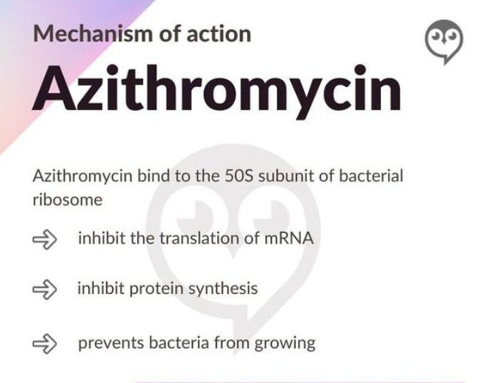 Mechanism of action of Azithromycin