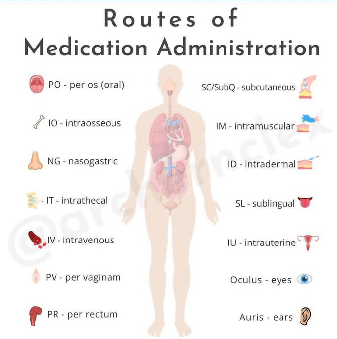 Routes of Medication Administration