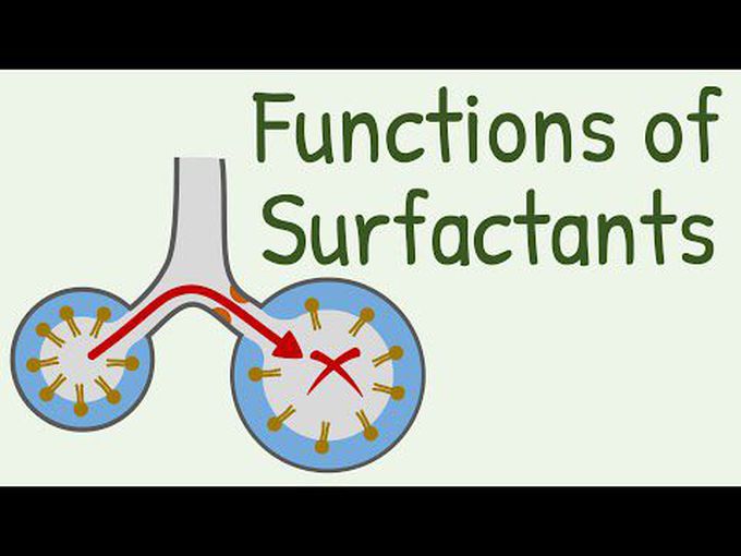 Functions of Pulmonary Surfactant