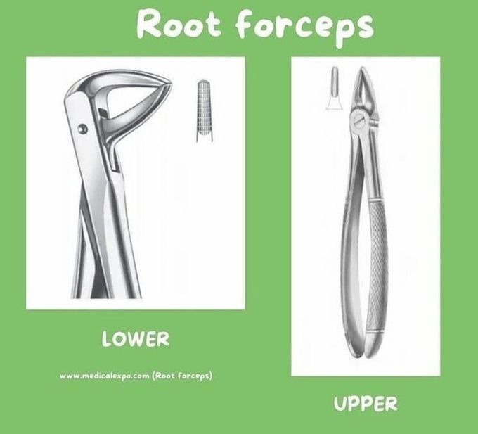 Root Forceps