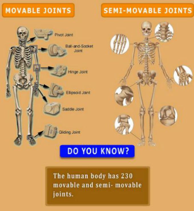 Did you know