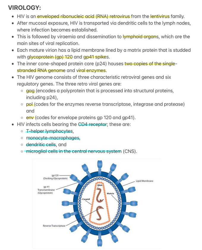 HIV and AIDS II