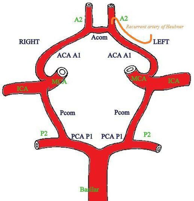 Wellis Circle