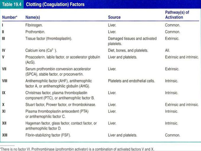 Blood clotting factors