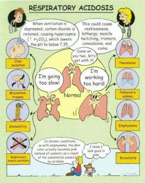 Respiratory Acidosis - Medizzy