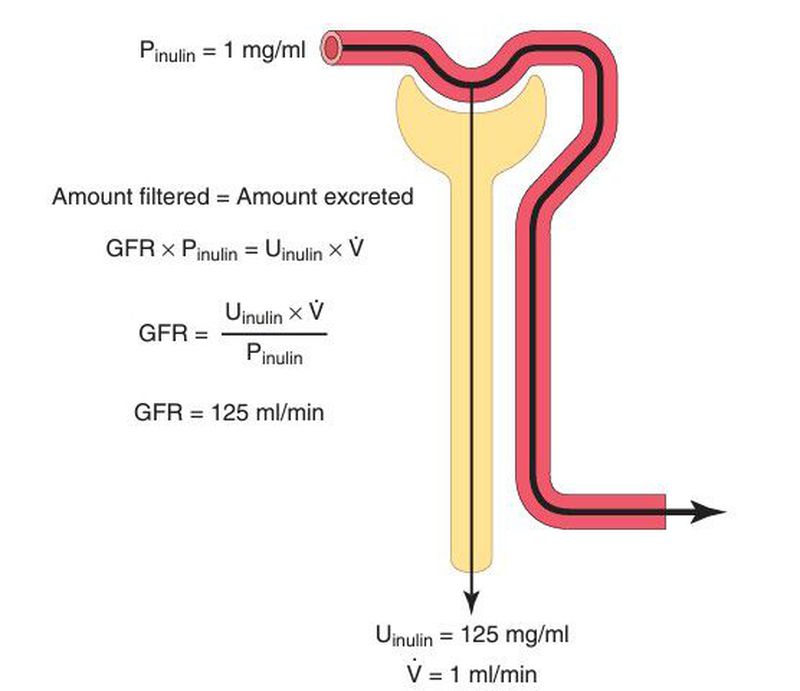 ipamorelin gfr Mod GRF 1-29 & Blend (10mg) Ipamorelin - Wikipedia