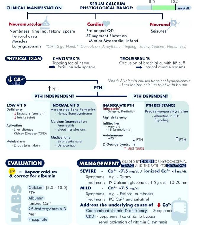 Hypocalcemia Management