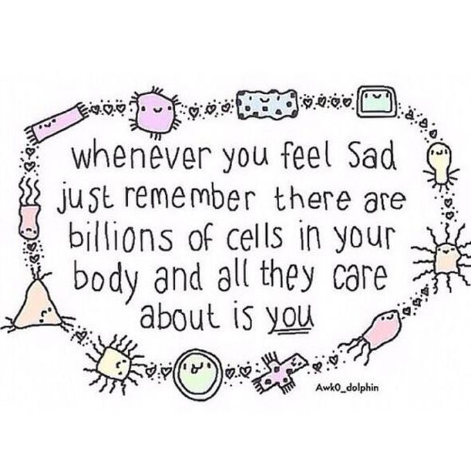 Cells