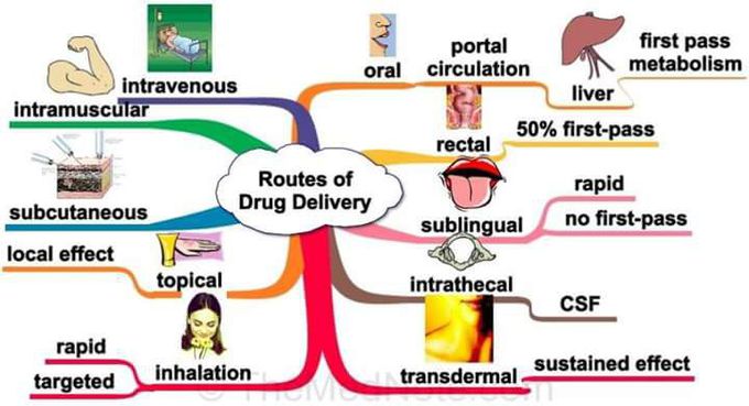 Roots of administration