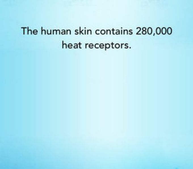 Fact