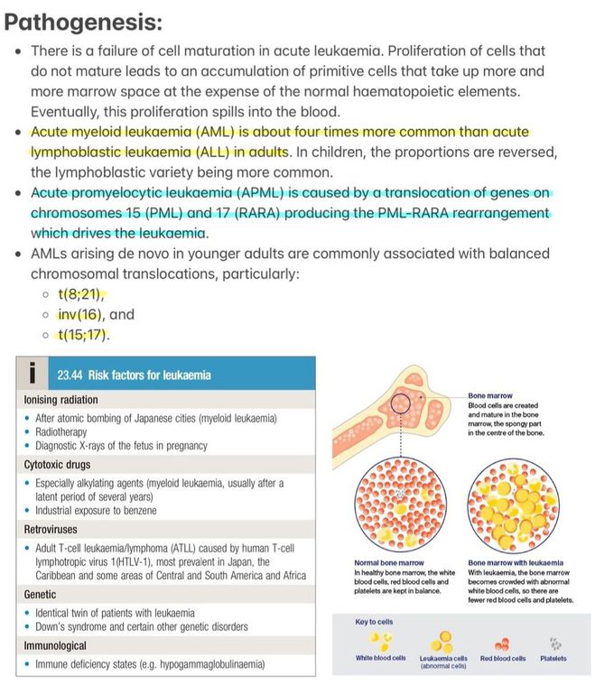 Acute Myeloid Leukemia II