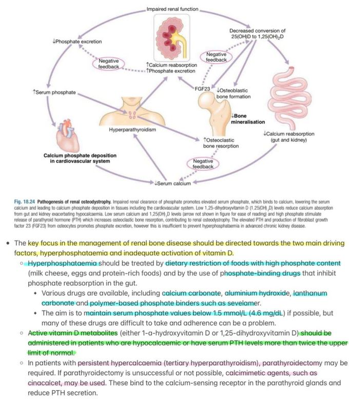 Chronic Kidney Disease XI