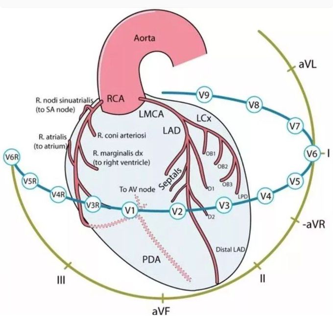 ECG Localization