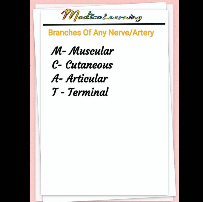 Mnemonics
