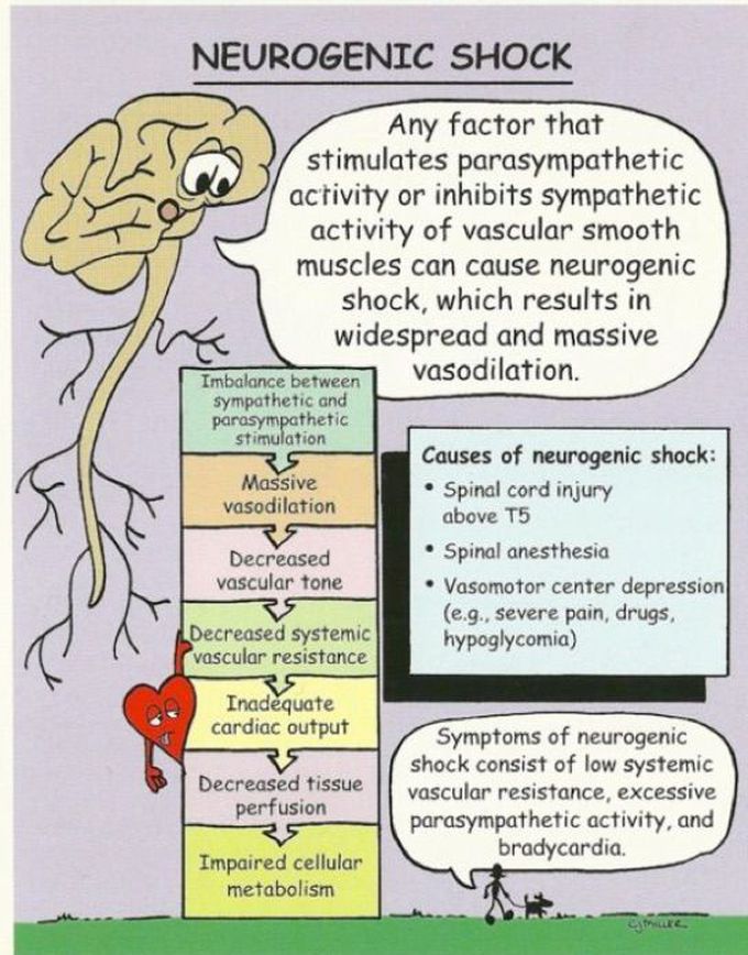 Neurogenic shock