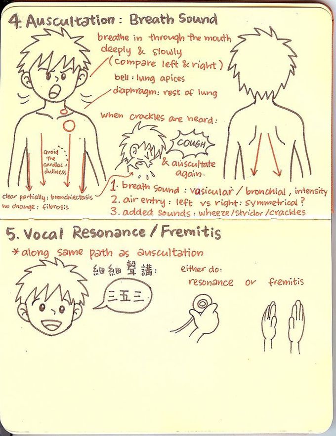 auscultation by stathoscope and changes