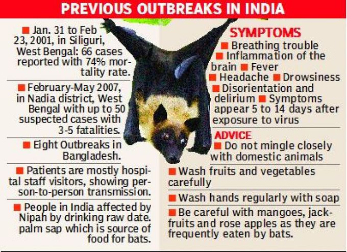 Nipah virus