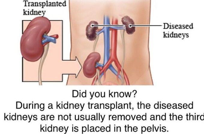 Did you know??
