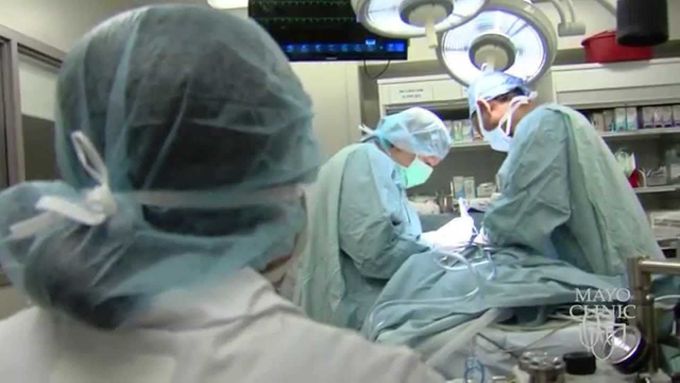Mayo Expert: Artificial Liver Ready for Human Testing
