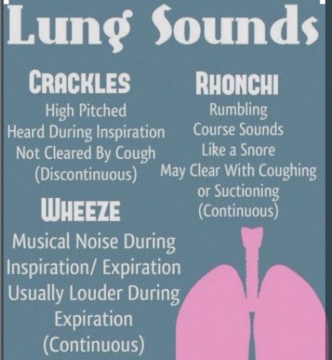 Lung sounds