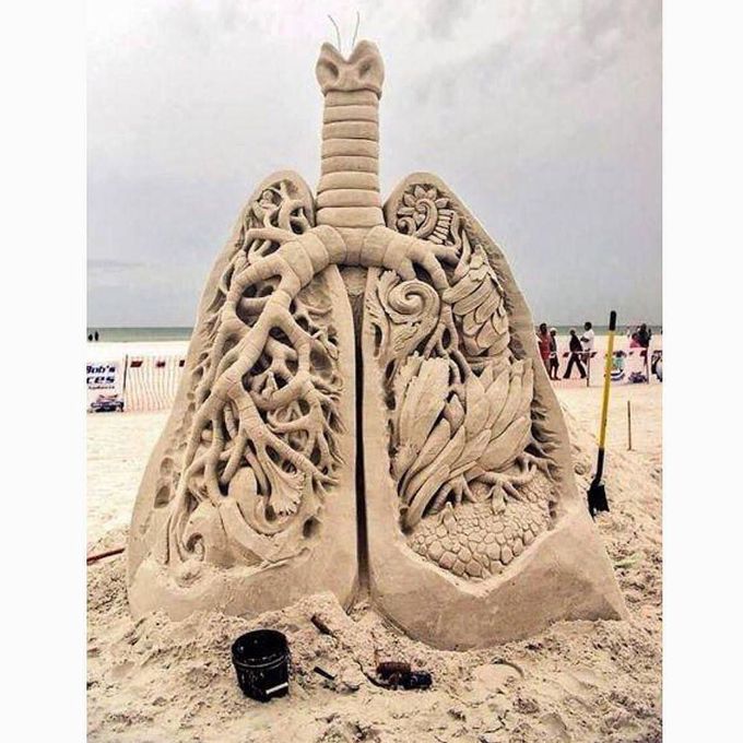 Sand art of lungs