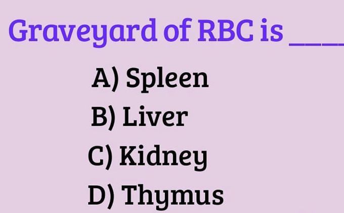 Graveyard of RBC is.....