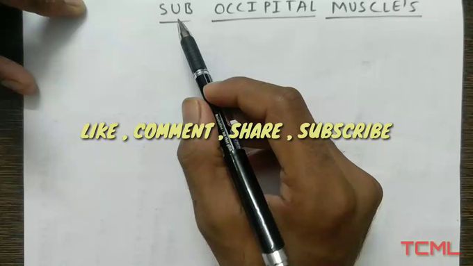 Sub occipital muscle and these nerve supply
