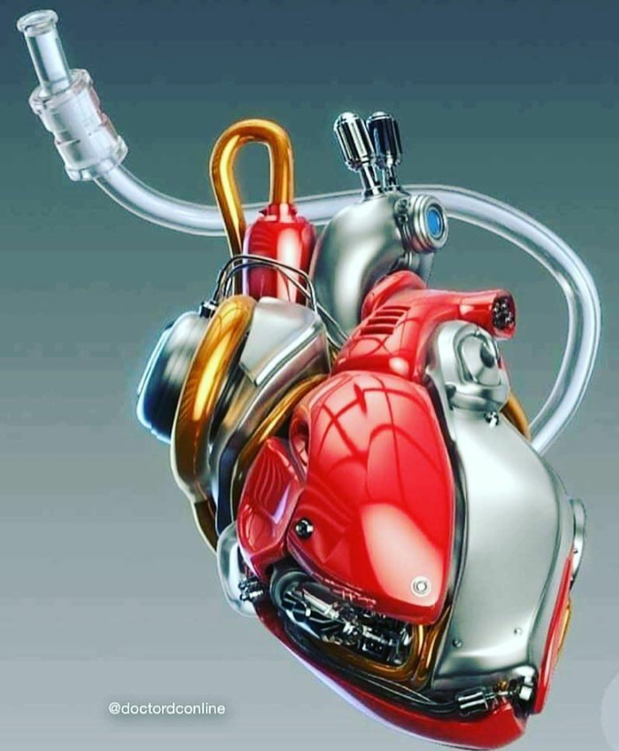 Motor Life