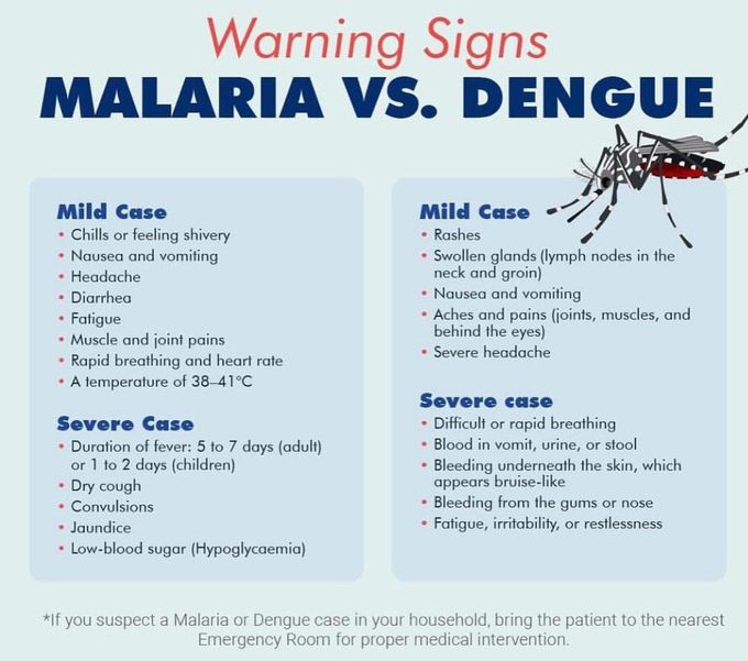 Malaria Vs Dengue