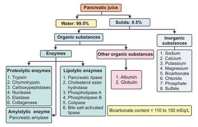 Pancreatic Juice