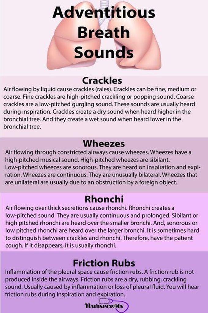 Chest sound